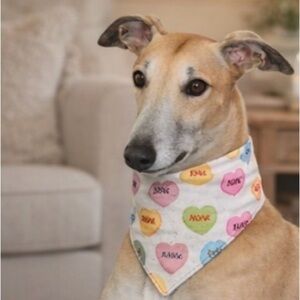Handmade Sweetheart Dog Bandana - Red and Multicolor